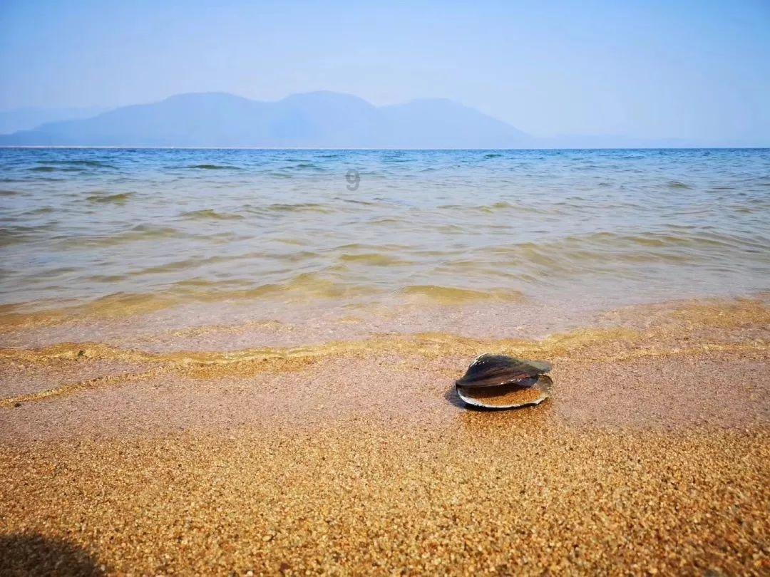 深度交流,尽在
