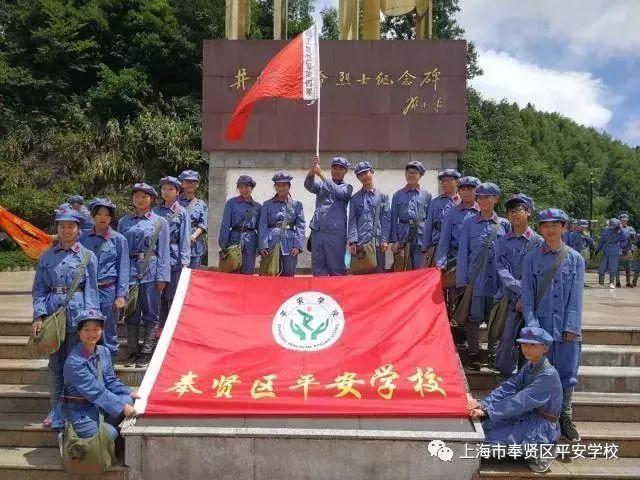 紫色系