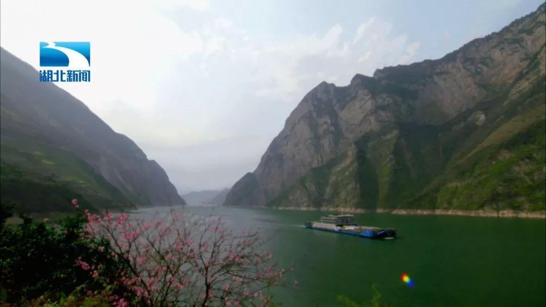 湖北:以中医药综合统计制度助推强省建设