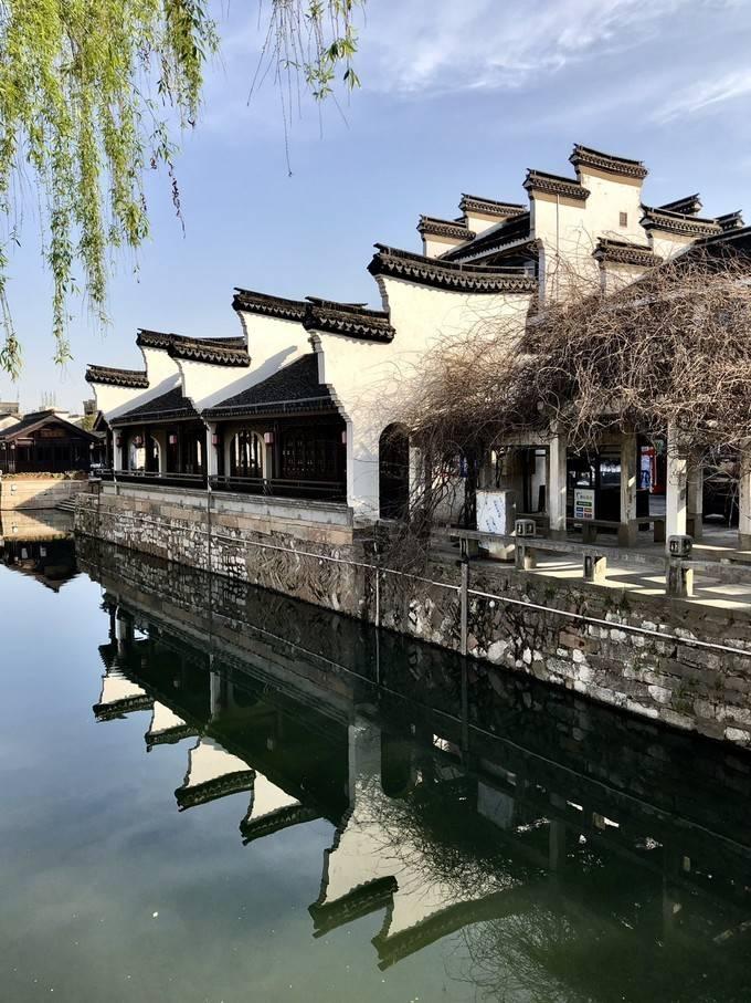 植物大战僵尸20